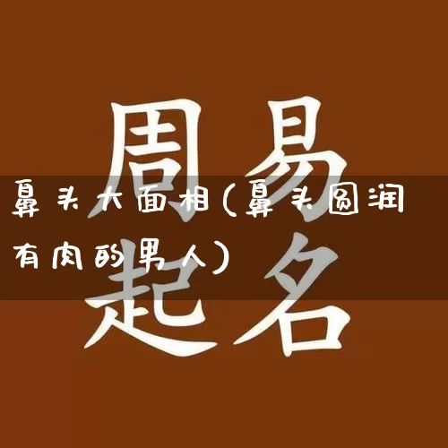 鼻头大面相(鼻头圆润有肉的男人)_https://www.nbtfsb.com_周公解梦_第1张