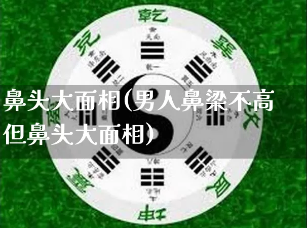 鼻头大面相(男人鼻梁不高但鼻头大面相)_https://www.nbtfsb.com_生肖星座_第1张