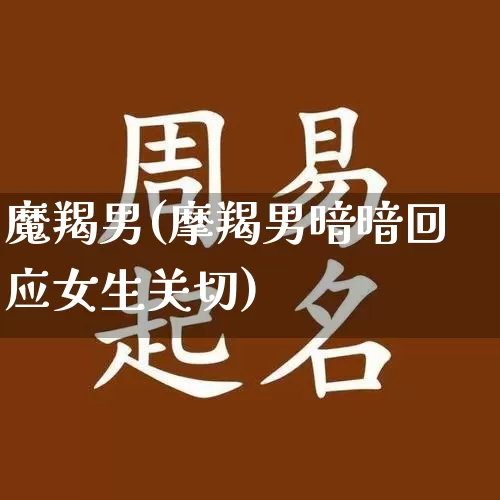 魔羯男(摩羯男暗暗回应女生关切)_https://www.nbtfsb.com_五行风水_第1张