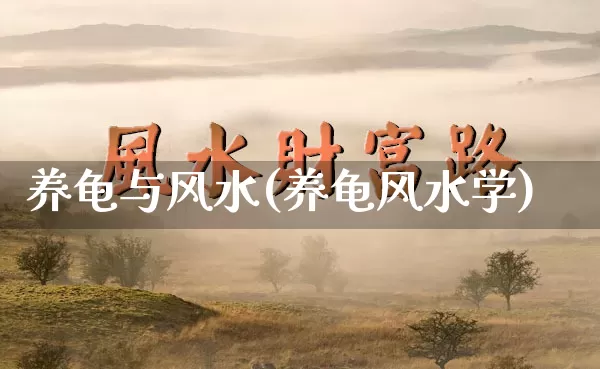 养龟与风水(养龟风水学)_https://www.nbtfsb.com_国学动态_第1张