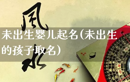未出生婴儿起名(未出生的孩子取名)_https://www.nbtfsb.com_国学动态_第1张