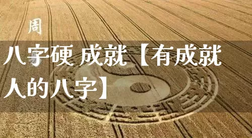 八字硬 成就【有成就人的八字】_https://www.nbtfsb.com_八字算命_第1张