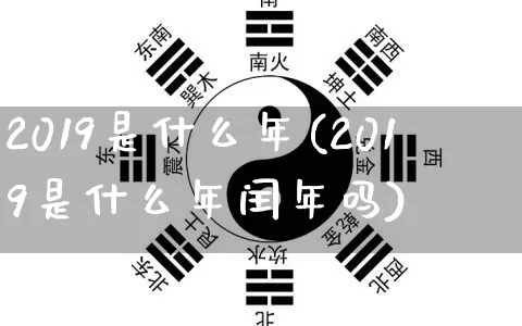 2019是什么年(2019是什么年闰年吗)_https://www.nbtfsb.com_周公解梦_第1张