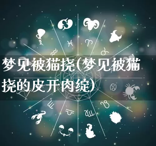 梦见被猫挠(梦见被猫挠的皮开肉绽)_https://www.nbtfsb.com_五行风水_第1张