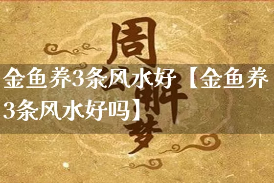 金鱼养3条风水好【金鱼养3条风水好吗】_https://www.nbtfsb.com_国学动态_第1张