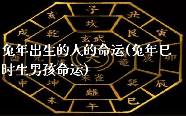 兔年出生的人的命运(兔年巳时生男孩命运)_https://www.nbtfsb.com_国学动态_第1张