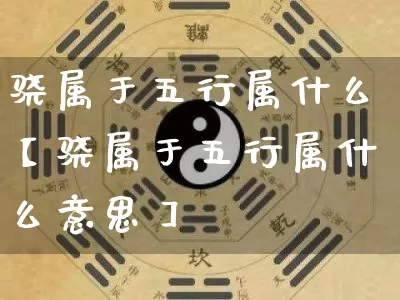 骁属于五行属什么【骁属于五行属什么意思】_https://www.nbtfsb.com_易经起名_第1张