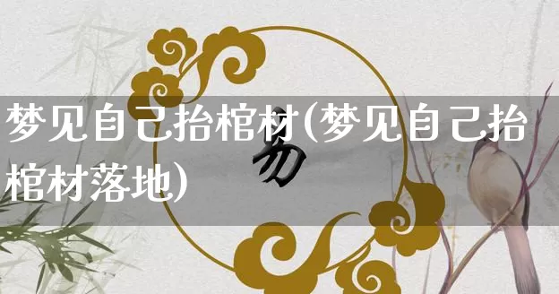 梦见自己抬棺材(梦见自己抬棺材落地)_https://www.nbtfsb.com_五行风水_第1张