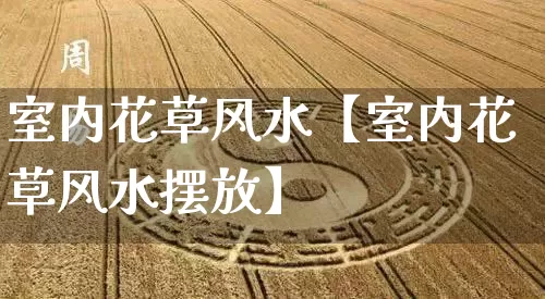 室内花草风水【室内花草风水摆放】_https://www.nbtfsb.com_易经起名_第1张