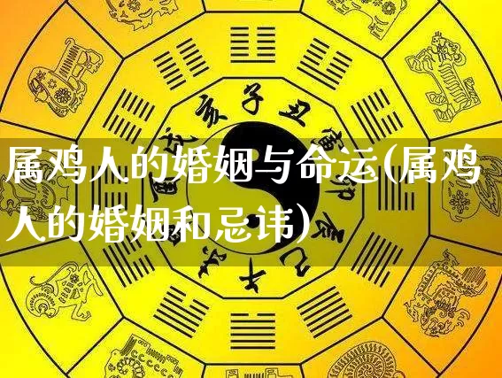 属鸡人的婚姻与命运(属鸡人的婚姻和忌讳)_https://www.nbtfsb.com_周公解梦_第1张