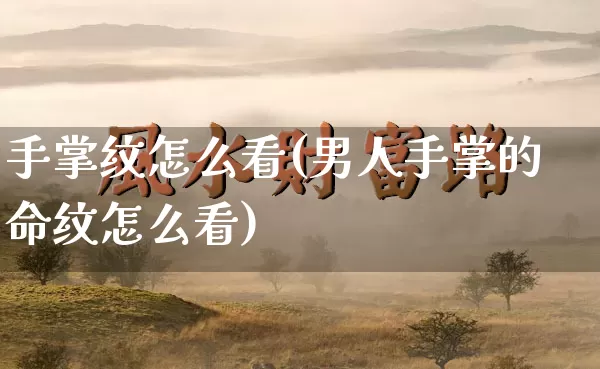 手掌纹怎么看(男人手掌的命纹怎么看)_https://www.nbtfsb.com_国学动态_第1张