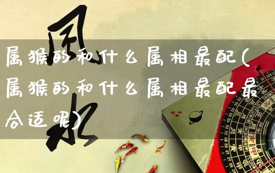 属猴的和什么属相最配(属猴的和什么属相最配最合适呢)_https://www.nbtfsb.com_周公解梦_第1张