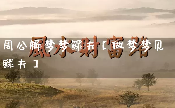 周公解梦梦鳏夫【做梦梦见鳏夫】_https://www.nbtfsb.com_道源国学_第1张