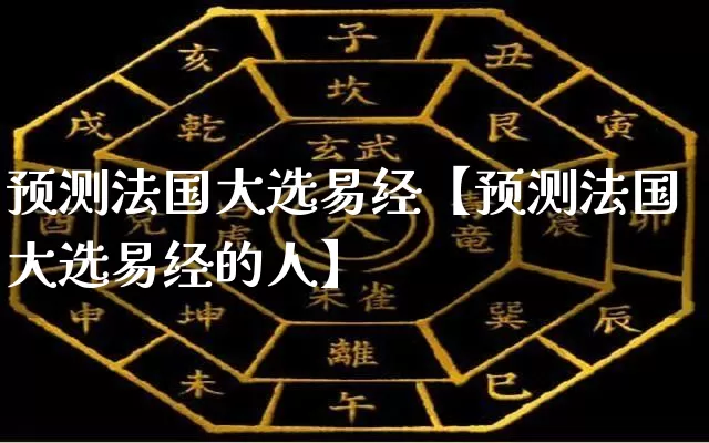 预测法国大选易经【预测法国大选易经的人】_https://www.nbtfsb.com_易经起名_第1张