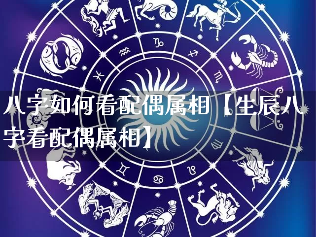 八字如何看配偶属相【生辰八字看配偶属相】_https://www.nbtfsb.com_周公解梦_第1张