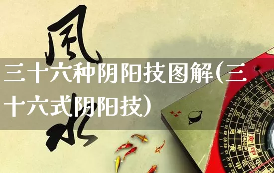 三十六种阴阳技图解(三十六式阴阳技)_https://www.nbtfsb.com_周公解梦_第1张