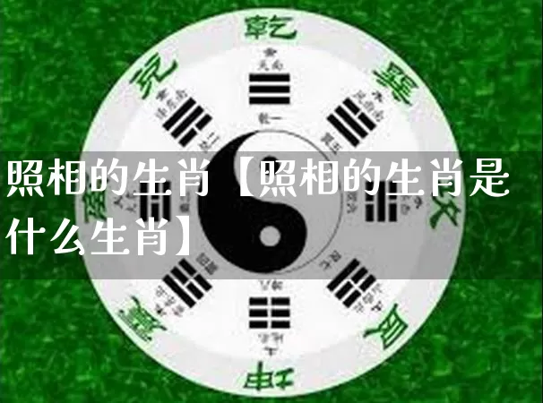照相的生肖【照相的生肖是什么生肖】_https://www.nbtfsb.com_生肖星座_第1张