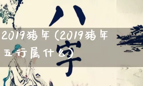 2019猪年(2019猪年五行属什么)_https://www.nbtfsb.com_国学动态_第1张