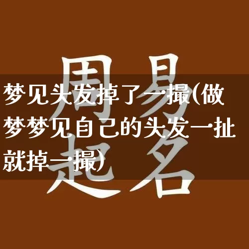 梦见头发掉了一撮(做梦梦见自己的头发一扯就掉一撮)_https://www.nbtfsb.com_周公解梦_第1张