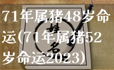 71年属猪48岁命运(71年属猪52岁命运2023)_https://www.nbtfsb.com_周公解梦_第1张