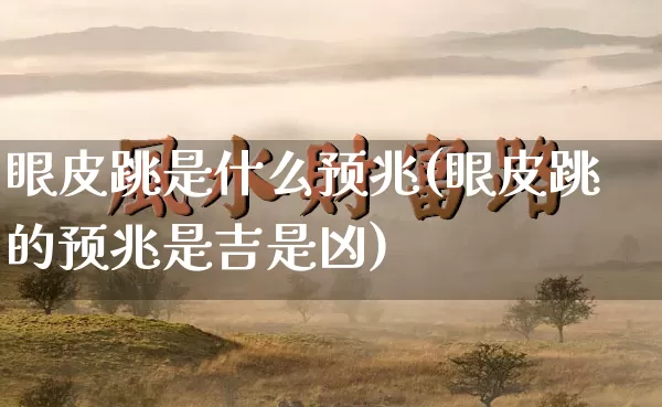 眼皮跳是什么预兆(眼皮跳的预兆是吉是凶)_https://www.nbtfsb.com_生肖星座_第1张