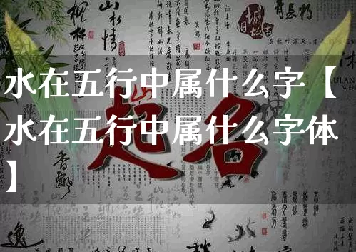 水在五行中属什么字【水在五行中属什么字体】_https://www.nbtfsb.com_五行风水_第1张