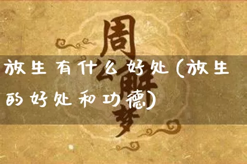 放生有什么好处(放生的好处和功德)_https://www.nbtfsb.com_生肖星座_第1张