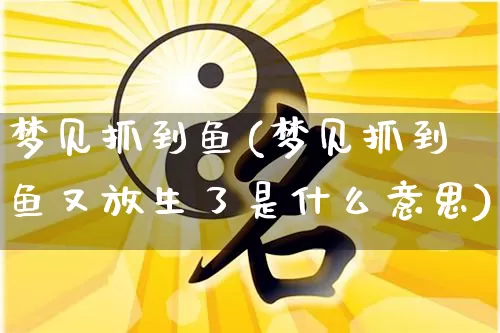 梦见抓到鱼(梦见抓到鱼又放生了是什么意思)_https://www.nbtfsb.com_五行风水_第1张