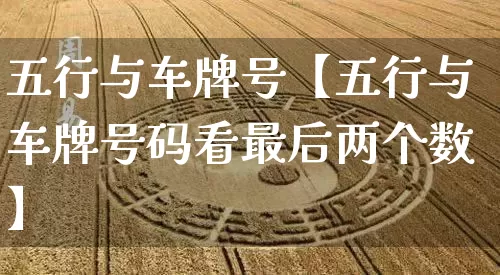 五行与车牌号【五行与车牌号码看最后两个数】_https://www.nbtfsb.com_五行风水_第1张