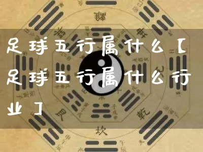 足球五行属什么【足球五行属什么行业】_https://www.nbtfsb.com_五行风水_第1张