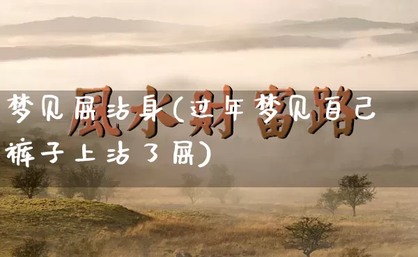 梦见屎沾身(过年梦见自己裤子上沾了屎)_https://www.nbtfsb.com_周公解梦_第1张