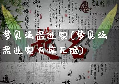 梦见强盗进家(梦见强盗进家有惊无险)_https://www.nbtfsb.com_道源国学_第1张