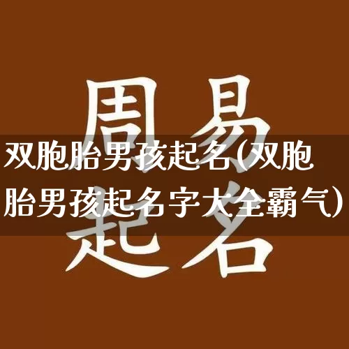 双胞胎男孩起名(双胞胎男孩起名字大全霸气)_https://www.nbtfsb.com_周公解梦_第1张