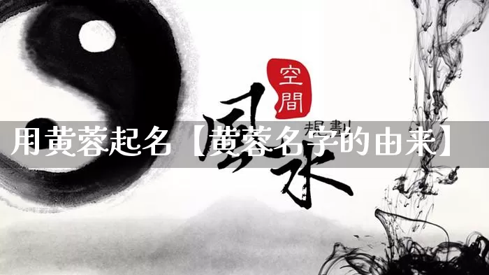 用黄蓉起名【黄蓉名字的由来】_https://www.nbtfsb.com_五行风水_第1张