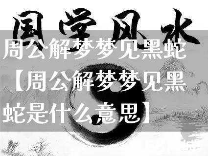 周公解梦梦见黑蛇【周公解梦梦见黑蛇是什么意思】_https://www.nbtfsb.com_易经起名_第1张