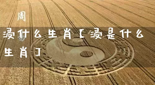 浸什么生肖【浸是什么生肖】_https://www.nbtfsb.com_易经起名_第1张