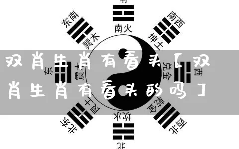 双肖生肖有看头【双肖生肖有看头的吗】_https://www.nbtfsb.com_易经起名_第1张