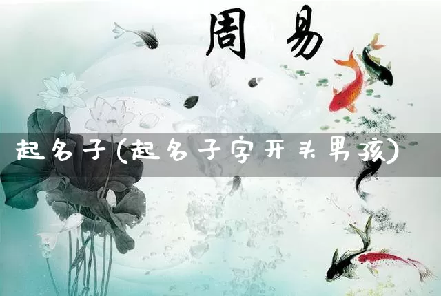 起名子(起名子字开头男孩)_https://www.nbtfsb.com_五行风水_第1张