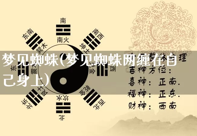 梦见蜘蛛(梦见蜘蛛网缠在自己身上)_https://www.nbtfsb.com_国学动态_第1张