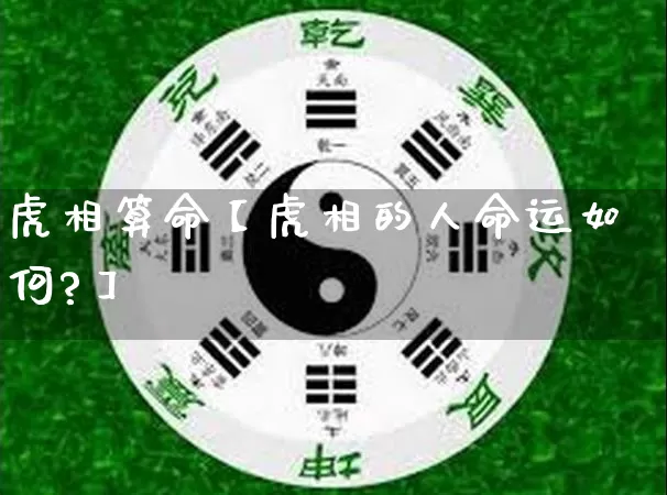 虎相算命【虎相的人命运如何?】_https://www.nbtfsb.com_国学动态_第1张