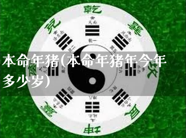 本命年猪(本命年猪年今年多少岁)_https://www.nbtfsb.com_道源国学_第1张