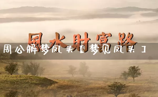 周公解梦凤头【梦见凤头】_https://www.nbtfsb.com_易经起名_第1张