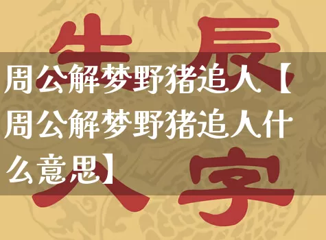 周公解梦野猪追人【周公解梦野猪追人什么意思】_https://www.nbtfsb.com_生肖星座_第1张