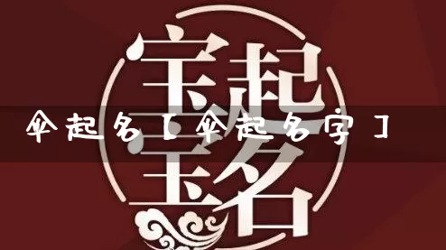 伞起名【伞起名字】_https://www.nbtfsb.com_国学动态_第1张