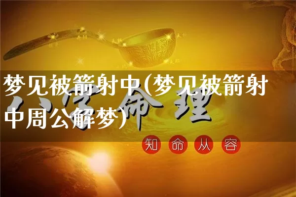 梦见被箭射中(梦见被箭射中周公解梦)_https://www.nbtfsb.com_道源国学_第1张