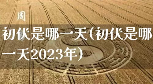 初伏是哪一天(初伏是哪一天2023年)_https://www.nbtfsb.com_易经起名_第1张