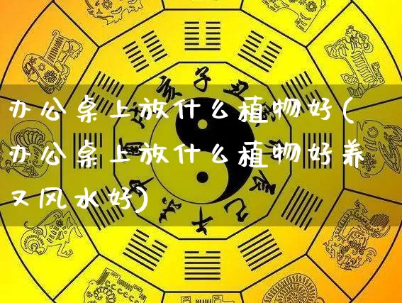 办公桌上放什么植物好(办公桌上放什么植物好养又风水好)_https://www.nbtfsb.com_周公解梦_第1张