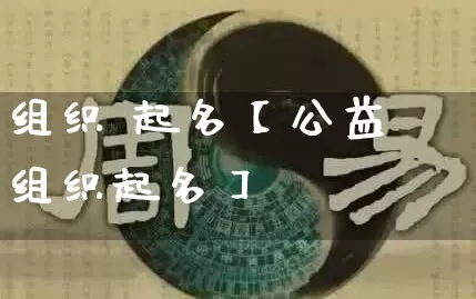 组织 起名【公益组织起名】_https://www.nbtfsb.com_生肖星座_第1张