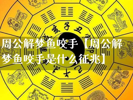 周公解梦鱼咬手【周公解梦鱼咬手是什么征兆】_https://www.nbtfsb.com_道源国学_第1张