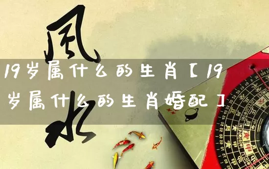 19岁属什么的生肖【19岁属什么的生肖婚配】_https://www.nbtfsb.com_八字算命_第1张
